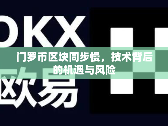 门罗币区块同步慢，技术背后的机遇与风险