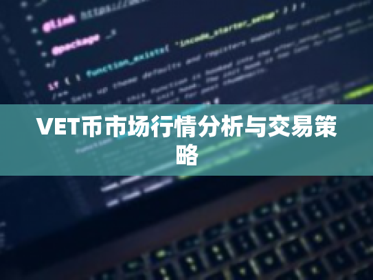 VET币市场行情分析与交易策略