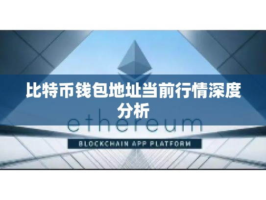 比特币钱包地址当前行情深度分析