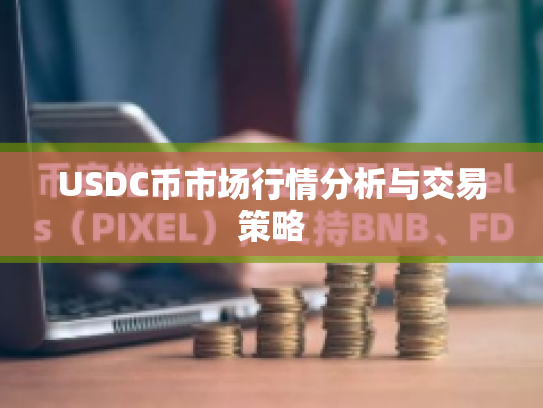 USDC币市场行情分析与交易策略 USDC币市场行情分析与交易策略