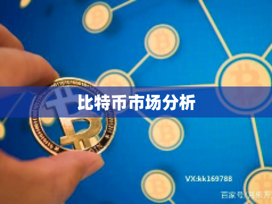 比特币市场分析 比特币市场分析