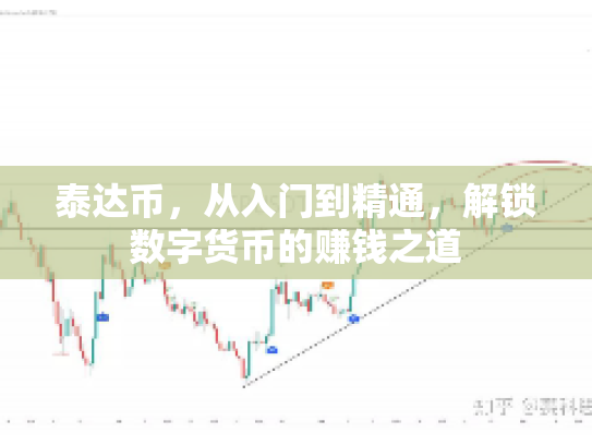 泰达币,从入门到精通,解锁数字货币的赚钱之道 泰达币,从入门到精通,解锁数字货币的赚钱之道