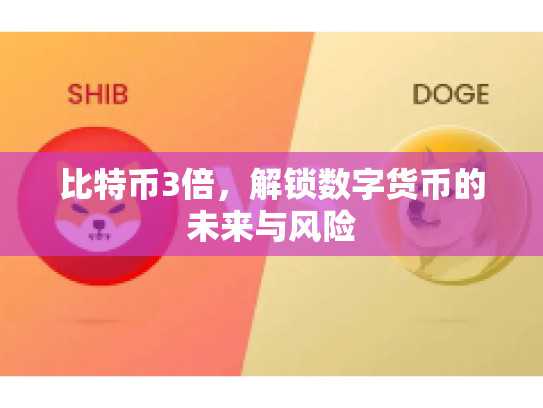 比特币3倍，解锁数字货币的未来与风险