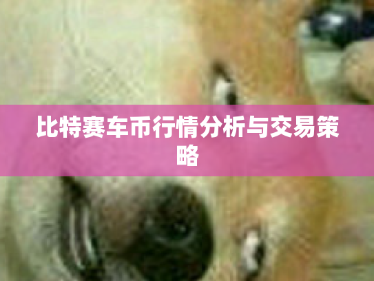 比特赛车币行情分析与交易策略