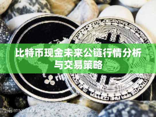 比特币现金未来公链行情分析与交易策略