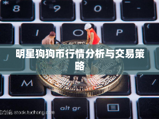明星狗狗币行情分析与交易策略