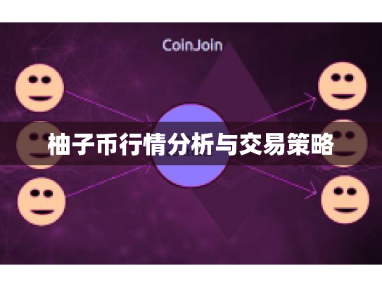 柚子币行情分析与交易策略 柚子币行情分析与交易策略