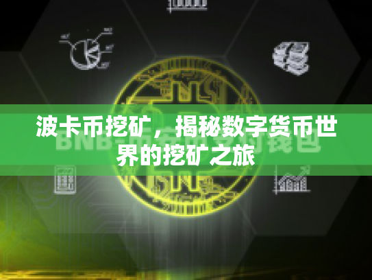 波卡币挖矿，揭秘数字货币世界的挖矿之旅