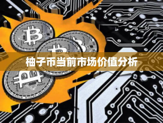 柚子币当前市场价值分析