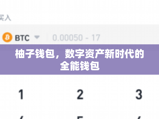 柚子钱包，数字资产新时代的全能钱包