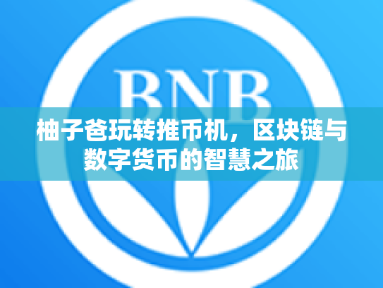 柚子爸玩转推币机，区块链与数字货币的智慧之旅