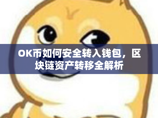 OK币如何安全转入钱包，区块链资产转移全解析