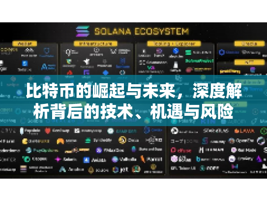 比特币的崛起与未来，深度解析背后的技术、机遇与风险