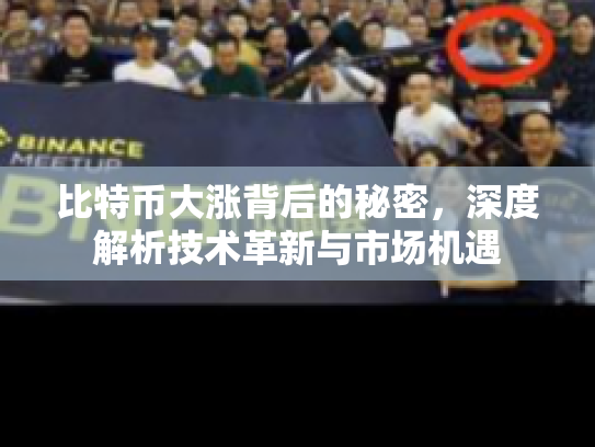 比特币大涨背后的秘密，深度解析技术革新与市场机遇