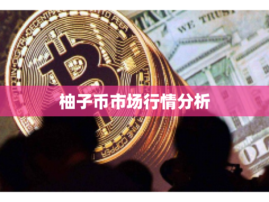 柚子币市场行情分析