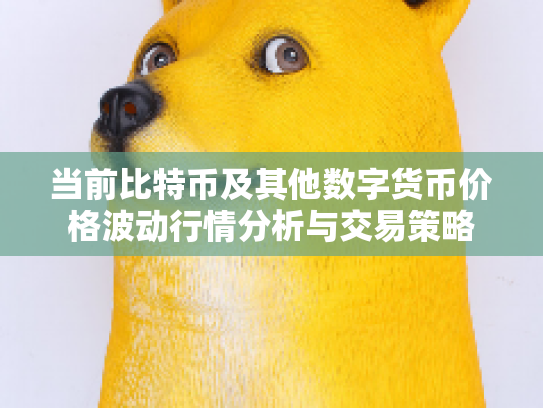 当前比特币及其他数字货币价格波动行情分析与交易策略