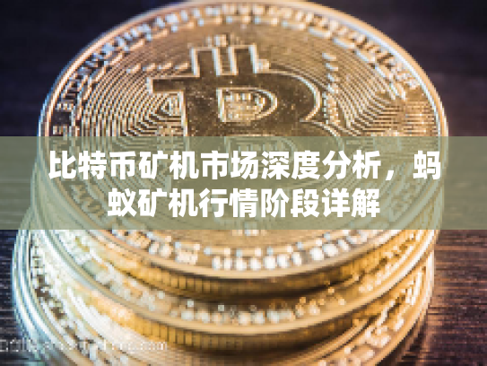 比特币矿机市场深度分析，蚂蚁矿机行情阶段详解