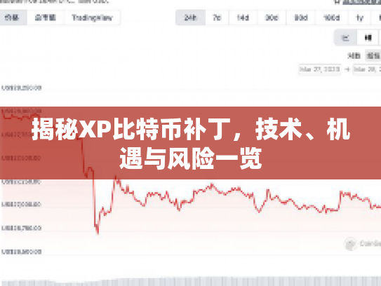 揭秘XP比特币补丁，技术、机遇与风险一览