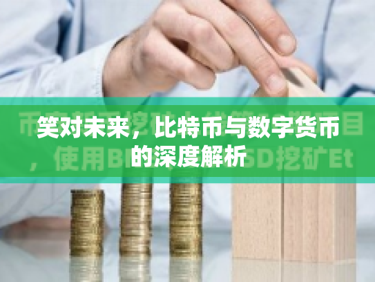 笑对未来,比特币与数字货币的深度解析 笑对未来,比特币与数字货币的深度解析