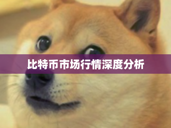 比特币市场行情深度分析 比特币市场行情深度分析