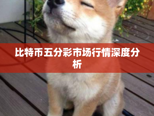 比特币五分彩市场行情深度分析