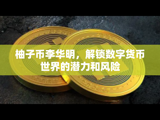柚子币李华明,解锁数字货币世界的潜力和风险 柚子币李华明,解锁数字货币世界的潜力和风险