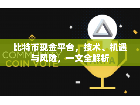 比特币现金平台,技术、机遇与风险,一文全解析 比特币现金平台,技术、机遇与风险,一文全解析