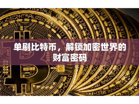 单刷比特币，解锁加密世界的财富密码