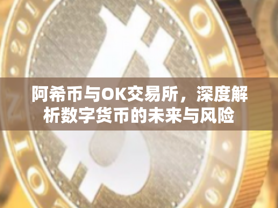 阿希币与OK交易所，深度解析数字货币的未来与风险