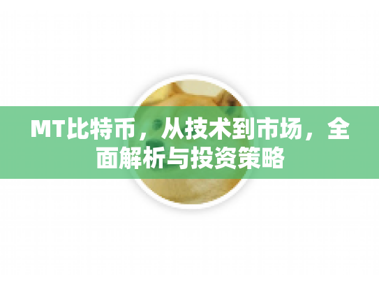 MT比特币，从技术到市场，全面解析与投资策略