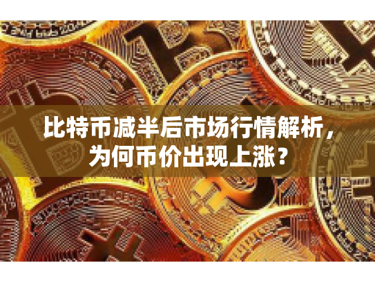 比特币减半后市场行情解析，为何币价出现上涨？
