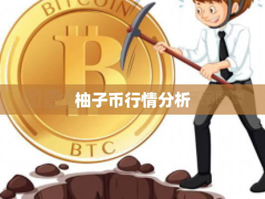 柚子币行情分析 柚子币行情分析