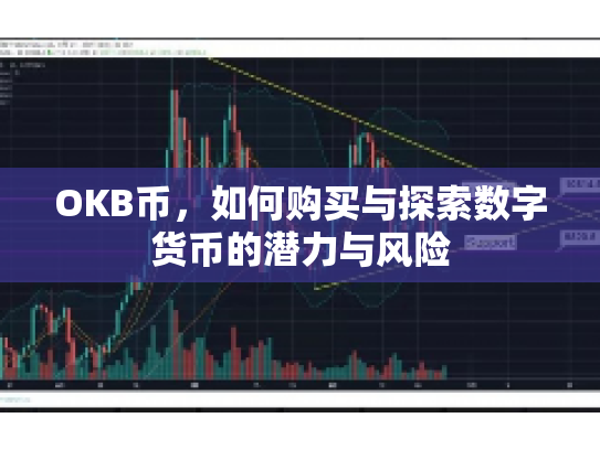 OKB币,如何购买与探索数字货币的潜力与风险 OKB币,如何购买与探索数字货币的潜力与风险