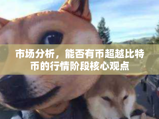 市场分析，能否有币超越比特币的行情阶段核心观点