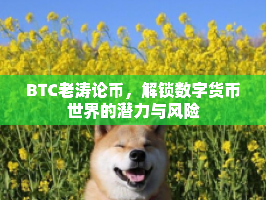 BTC老涛论币，解锁数字货币世界的潜力与风险