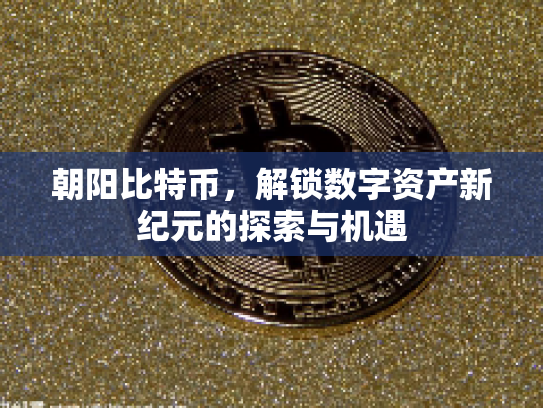 朝阳比特币，解锁数字资产新纪元的探索与机遇