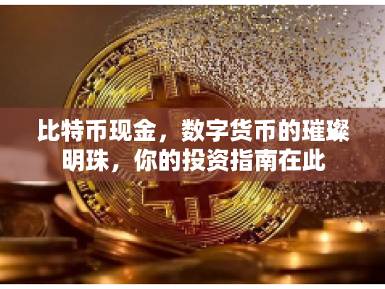 比特币现金，数字货币的璀璨明珠，你的投资指南在此
