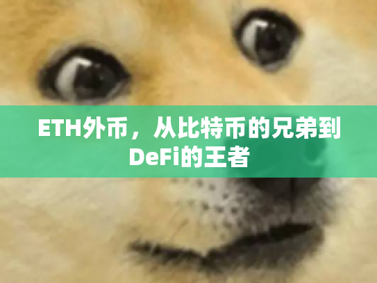 ETH外币，从比特币的兄弟到DeFi的王者