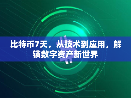 比特币7天,从技术到应用,解锁数字资产新世界 比特币7天,从技术到应用,解锁数字资产新世界
