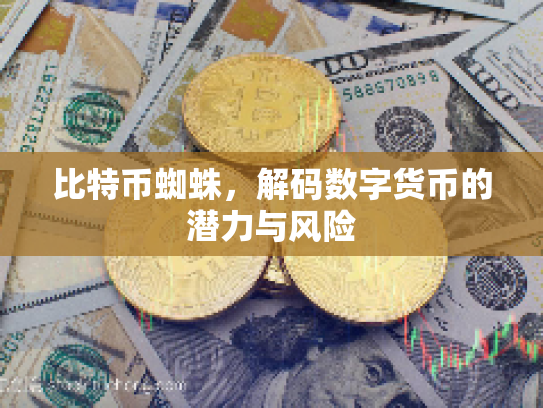 比特币蜘蛛，解码数字货币的潜力与风险