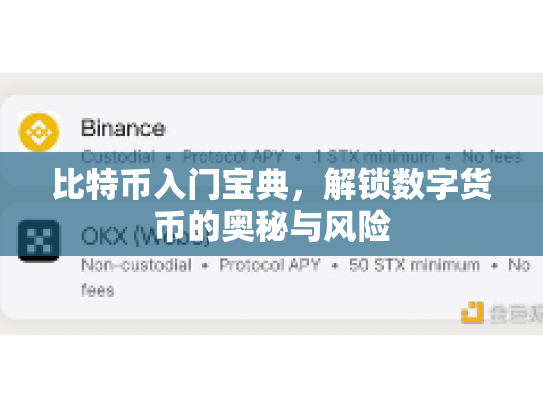 比特币入门宝典，解锁数字货币的奥秘与风险