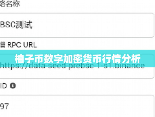 柚子币数字加密货币行情分析