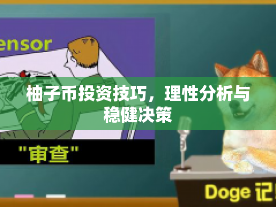 柚子币投资技巧，理性分析与稳健决策