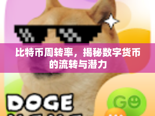 比特币周转率，揭秘数字货币的流转与潜力