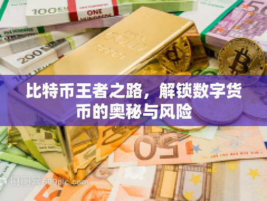 比特币王者之路,解锁数字货币的奥秘与风险 比特币王者之路,解锁数字货币的奥秘与风险