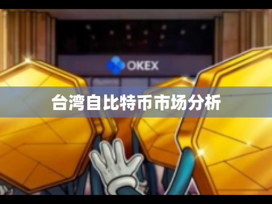 台湾自比特币市场分析