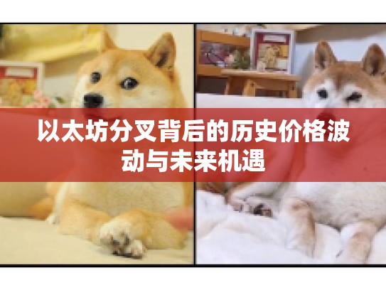 以太坊分叉背后的历史价格波动与未来机遇 以太坊分叉背后的历史价格波动与未来机遇