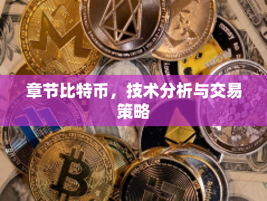 章节比特币，技术分析与交易策略