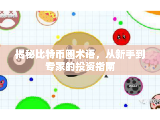 揭秘比特币圈术语，从新手到专家的投资指南