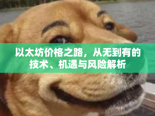 以太坊价格之路,从无到有的技术、机遇与风险解析 以太坊价格之路,从无到有的技术、机遇与风险解析